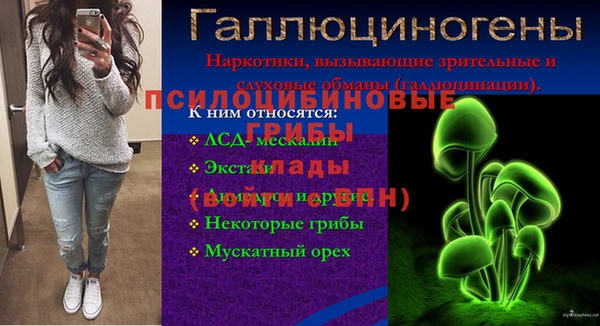 spice Ладушкин