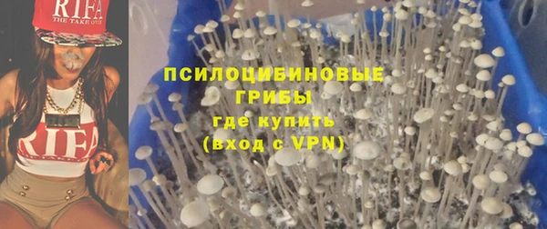 ALPHA PVP Лабытнанги